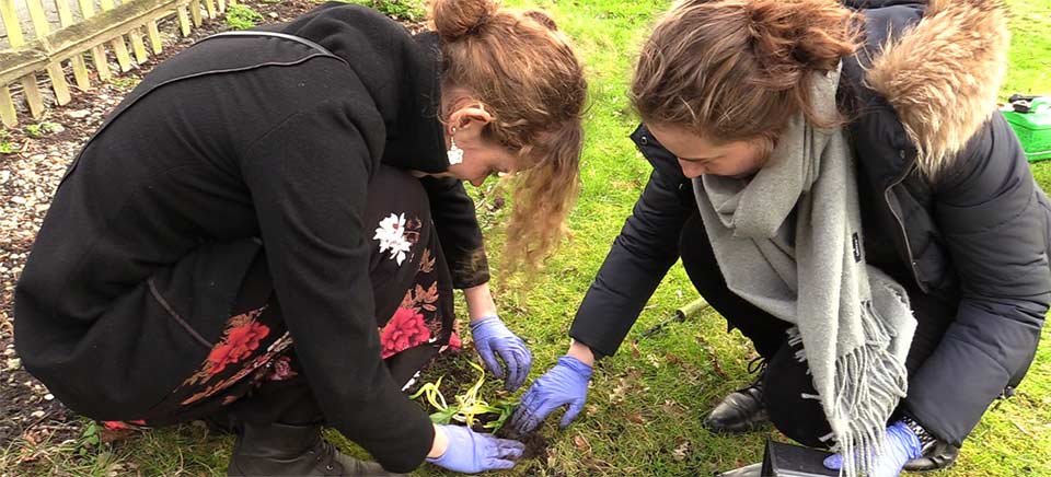 Volunteers at the Village Orchard in Dulwich