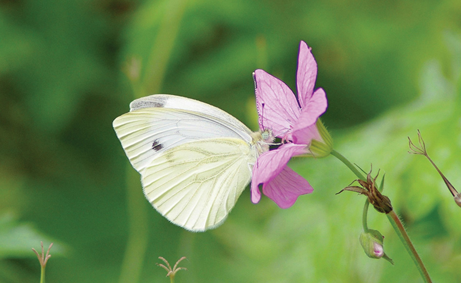 New businesses coming soon to the area