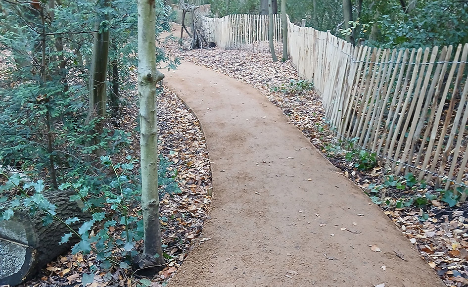 Supporting our woodland