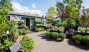 Alleyn Park Garden Centre 