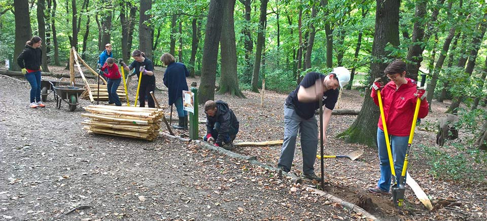 Volunteers working in the Great North wood