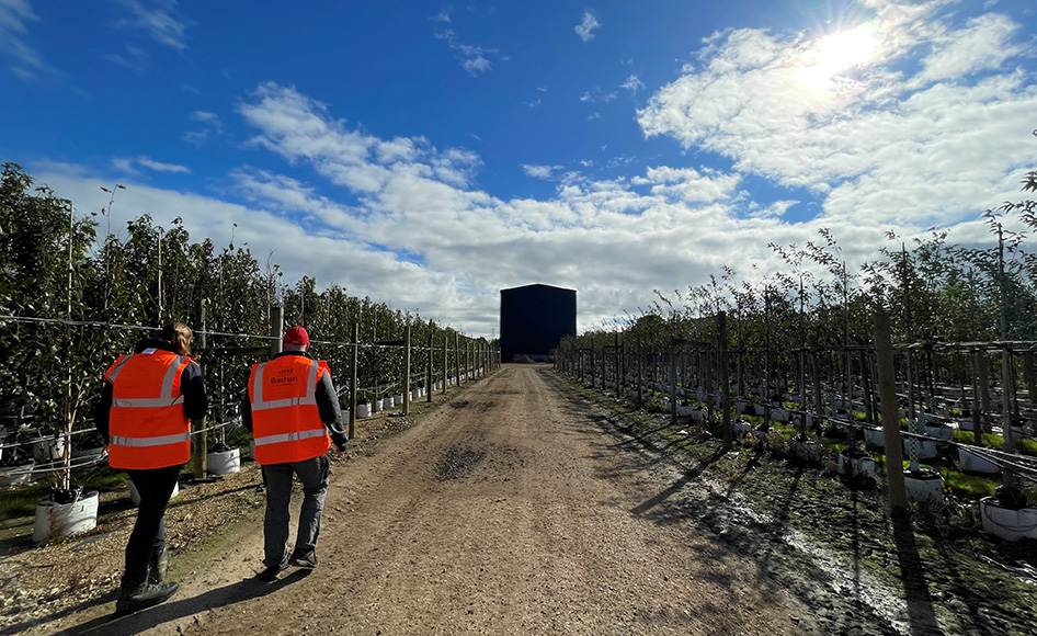 Winter Planting Across the Estate