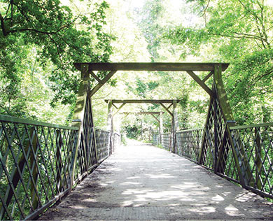 Dulwich Wood bridge on Cox's Walk 