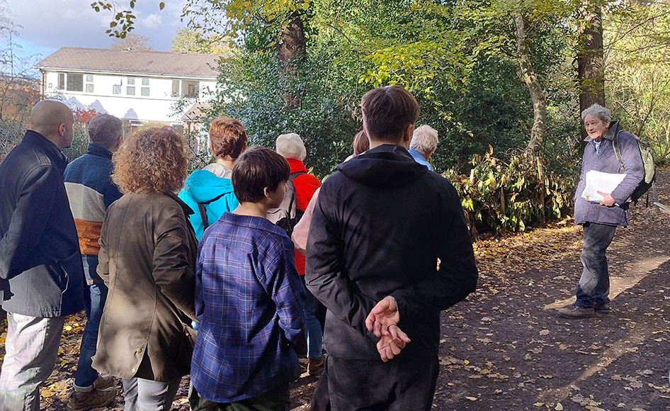 New businesses coming soon to the area