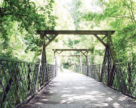 Dulwich Wood bridge on Cox's Walk 