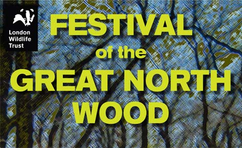 Festival of the Great North Wood